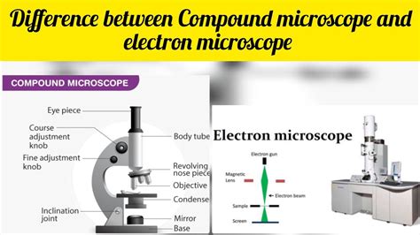 What Is The Difference Between Electron Microscope And Compound Microscope