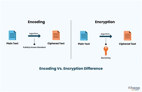 what is the difference between encoding and decoding communication