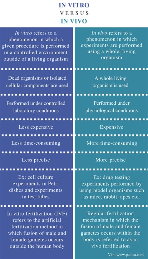 what is the difference between in vitro and in vivo testing