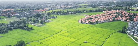 What Is The Difference Between Land And Plot