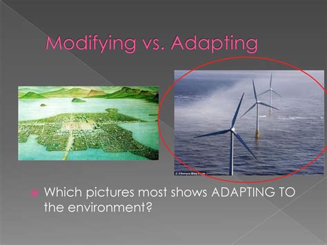 what is the difference between modifying and adapting to the environment