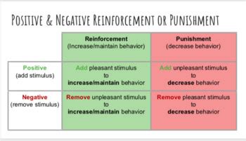 what is the difference between positive and negative reinforcement in operant conditioning