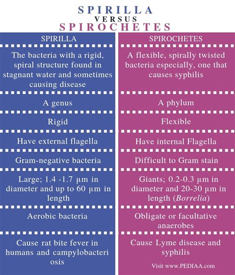 Chapter 4 prokaryotic profiles micro 1