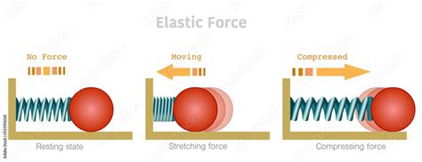 what is the elastic force