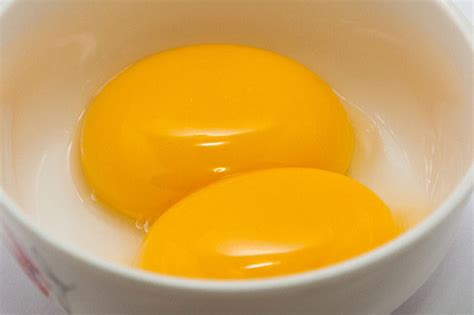 What Is The Emulsifier In Egg Yolks Called