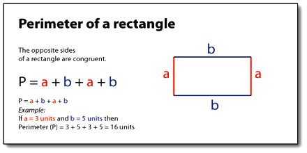 what is the equation to find perimeter of a rectangle