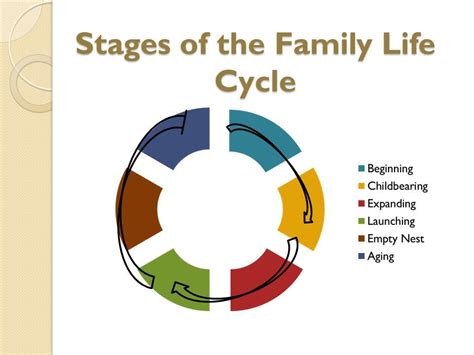 what is the family cycle