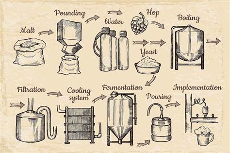 What Is The First Step In The Brewing Process