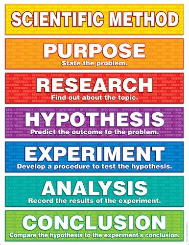 what is the first step of the problem solving workshop quizlet