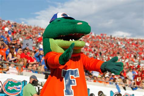 what is the florida gators