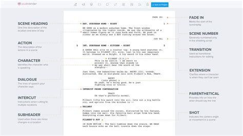what is the format for script writing