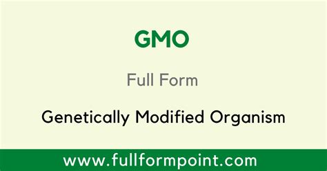 what is the full form of gmo