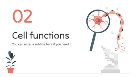 what is the function in science