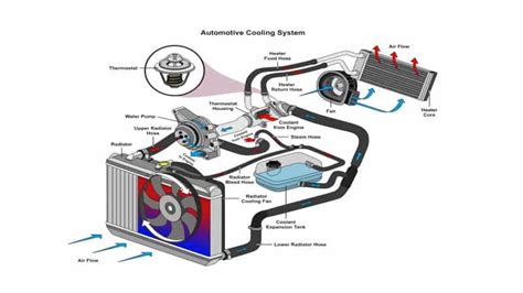 What Is The Function Of A Cooling System