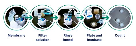 What Is The Function Of A Micro Filter