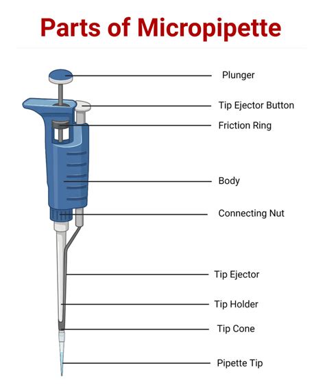 What Is The Function Of A Micropipette