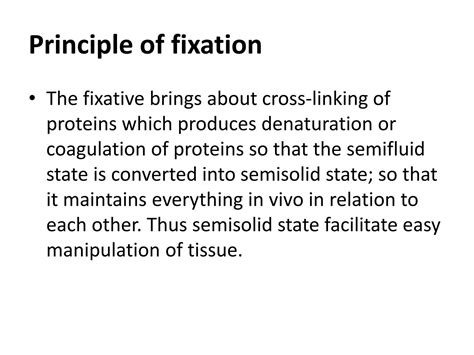 What Is The Function Of Fixative