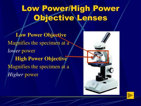 what is the function of high power objective lens in microscope
