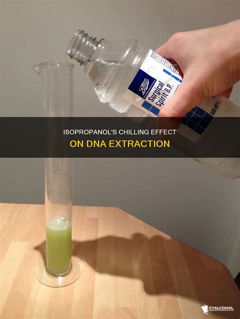 What Is The Function Of Isopropanol In Dna Extraction