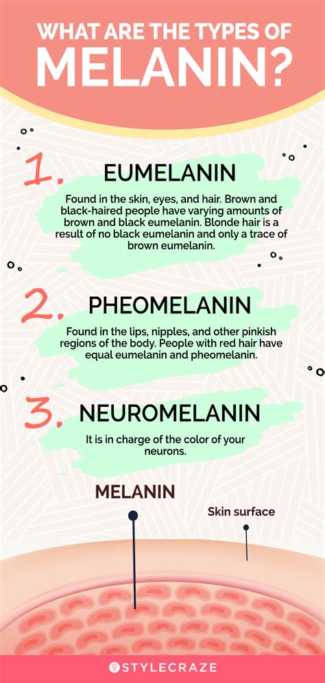 what is the function of melanin quizlet