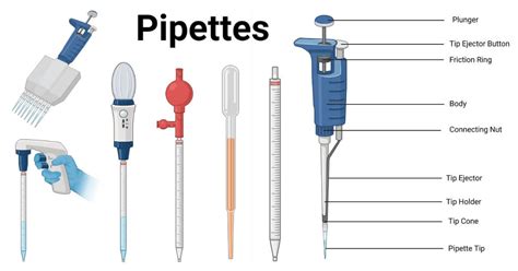 What Is The Function Of Pipette In Laboratory