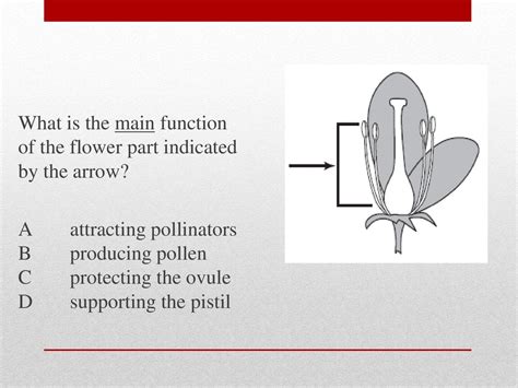 What Is The Function Of Pollen In A Flower