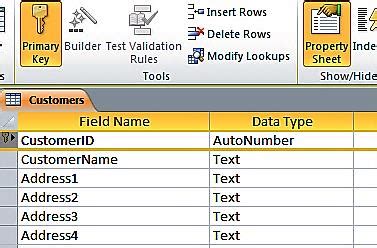 what is the function of primary key in ms access