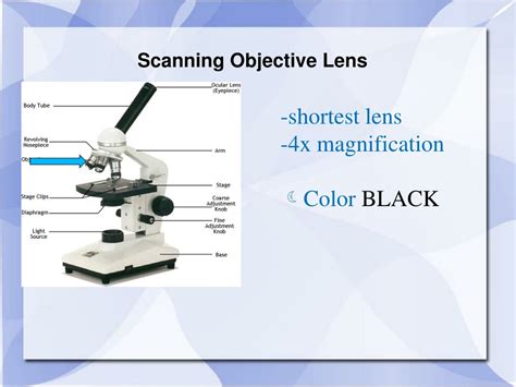 what is the function of scanning objective lens in microscope