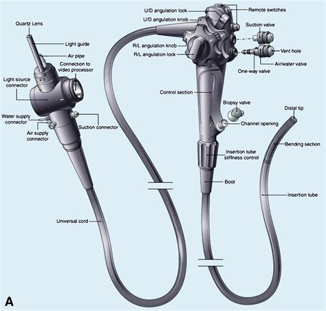 what is the function of the instrument channel in an endoscope