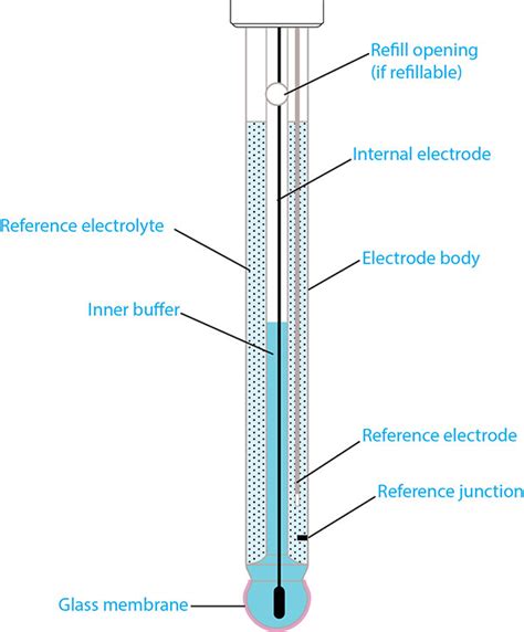 What Is The Function Of The Reference Electrode On A Ph Meter