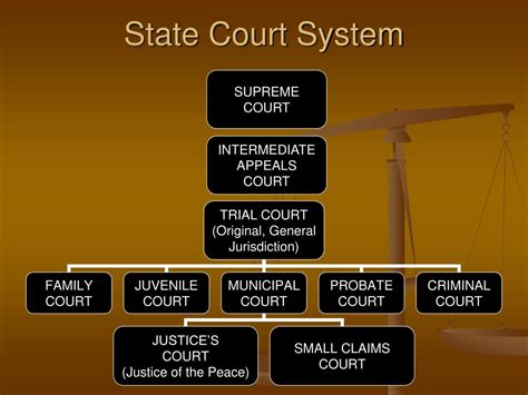 what is the function of the trial.courts within each state