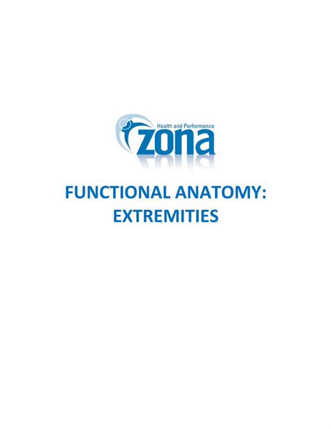 What Is The Function Of The Zona