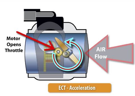 What Is The Function Of Throttle Body In The Engine