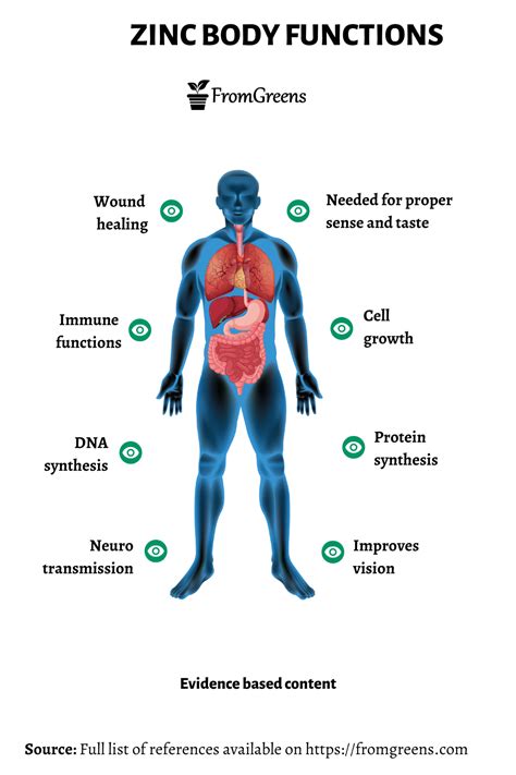 what is the function of zinc tablets in the body
