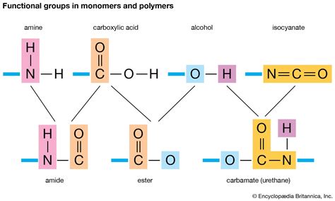 What Is The Functionality Of Styrene Monomer