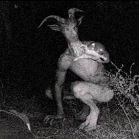 what is the goatman story