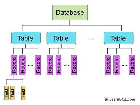 what is the hierarchy of data in a database explain each