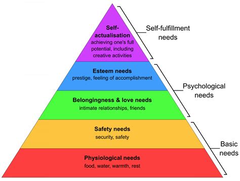 what is the hierarchy of human needs