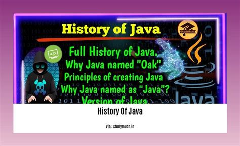what is the history of java