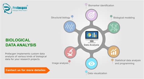 what is the importance of data organization and data analysis in biological sciences