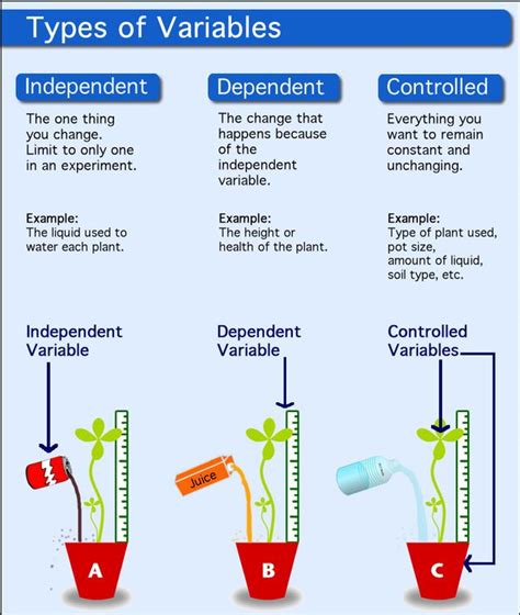 What Is The Independent Variable In A Plant Growth Experiment