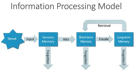 what is the information processing model