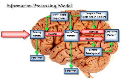 what is the information processing model of learning