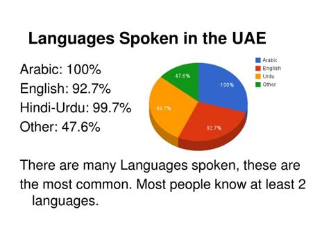 what is the language of united arab emirates