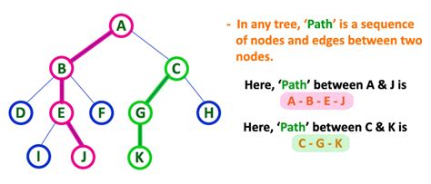 what is the length of the path in a tree in data structure