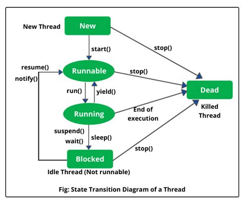 What Is The Life Cycle Of A Thread In Java