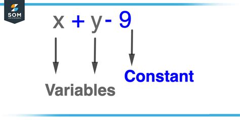 what is the main difference between variable and constant