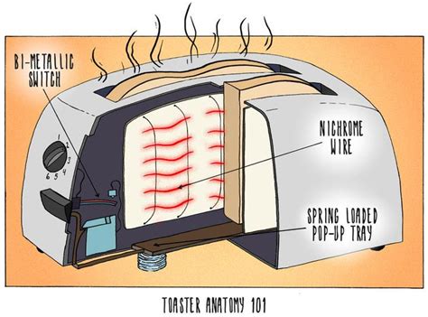 what is the main function of a toaster