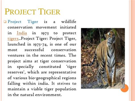 what is the main objective of project tiger class 8