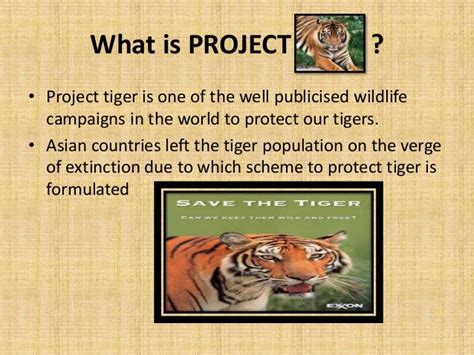what is the main objective of project tiger launched in 1973